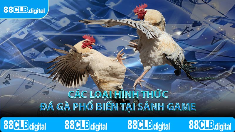 Các loại hình thức đá gà phổ biến tại sảnh game
