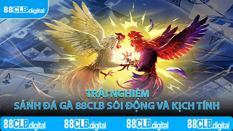 Trải nghiệm sảnh đá gà 88CLB sôi động và kịch tính